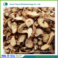 Supply raw herbs salvia miltiorrhiza (Danshen)